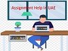 Assignment Help in UAE Logo